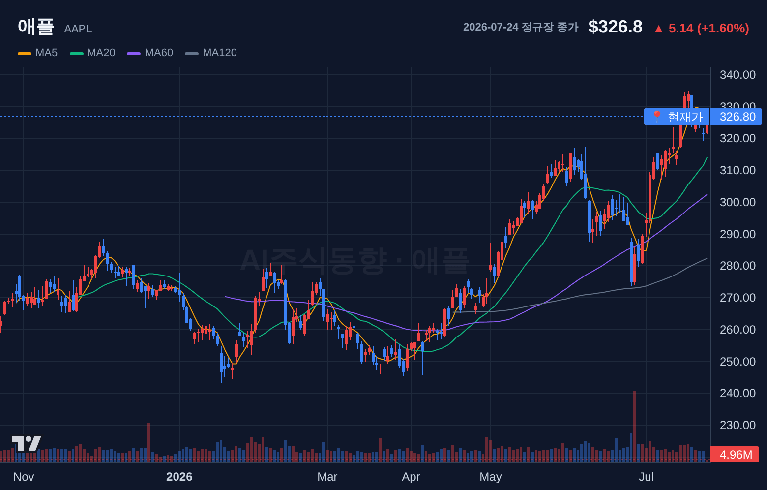 애플 (AAPL) 일봉 차트