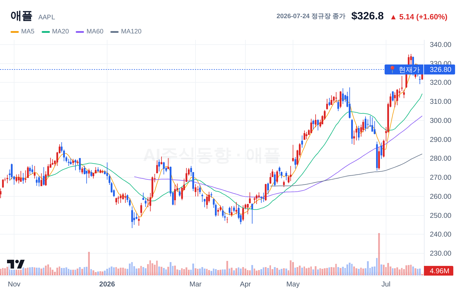 애플 (AAPL) 일봉 차트