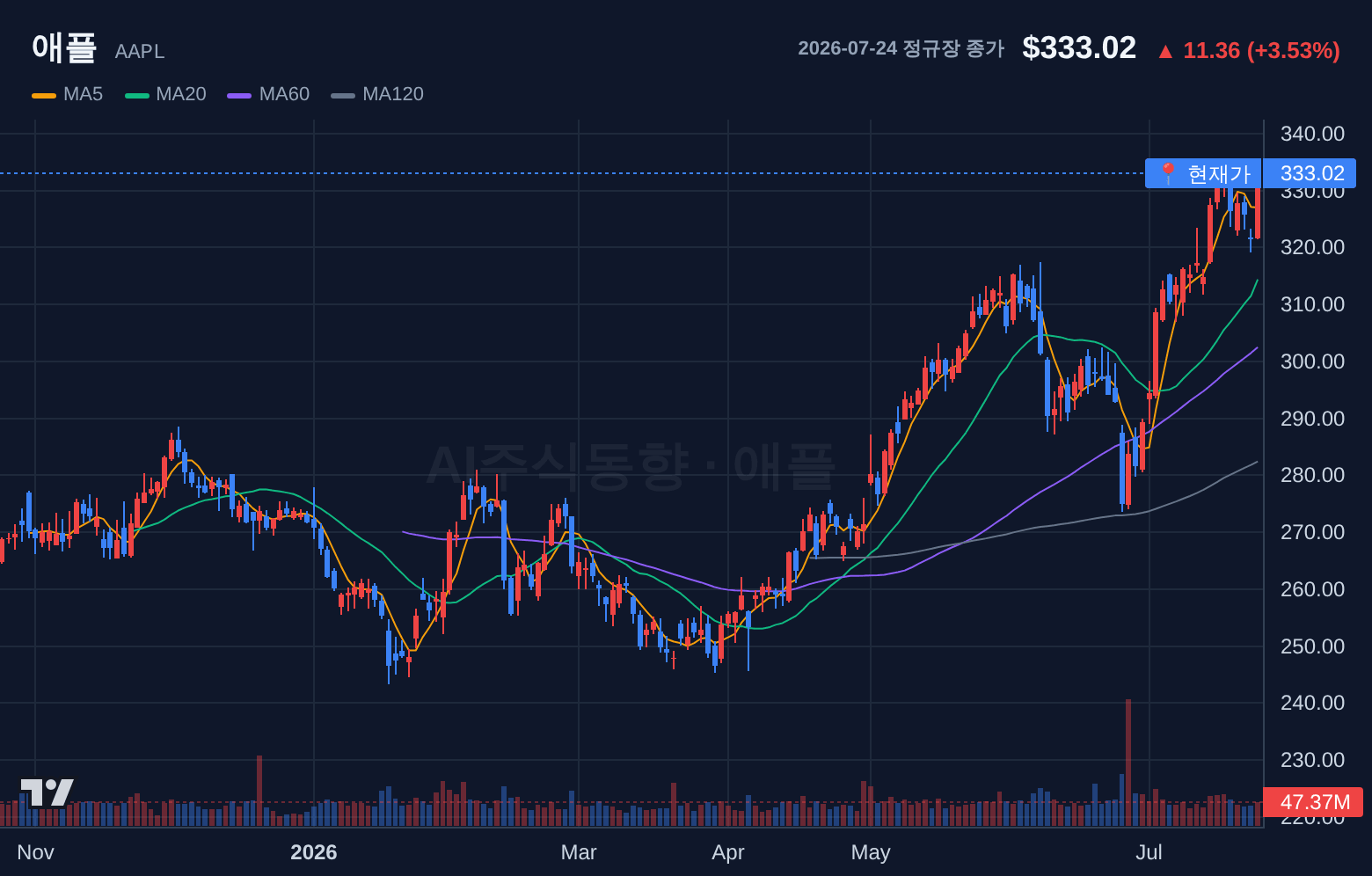 애플 (AAPL) 일봉 차트