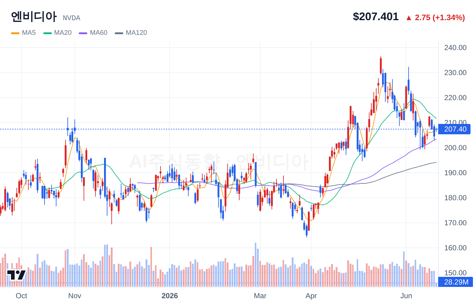 엔비디아 (NVDA) 일봉 차트