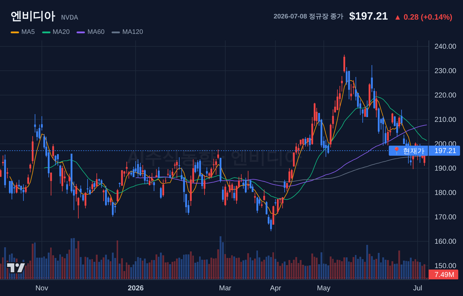 엔비디아 (NVDA) 일봉 차트