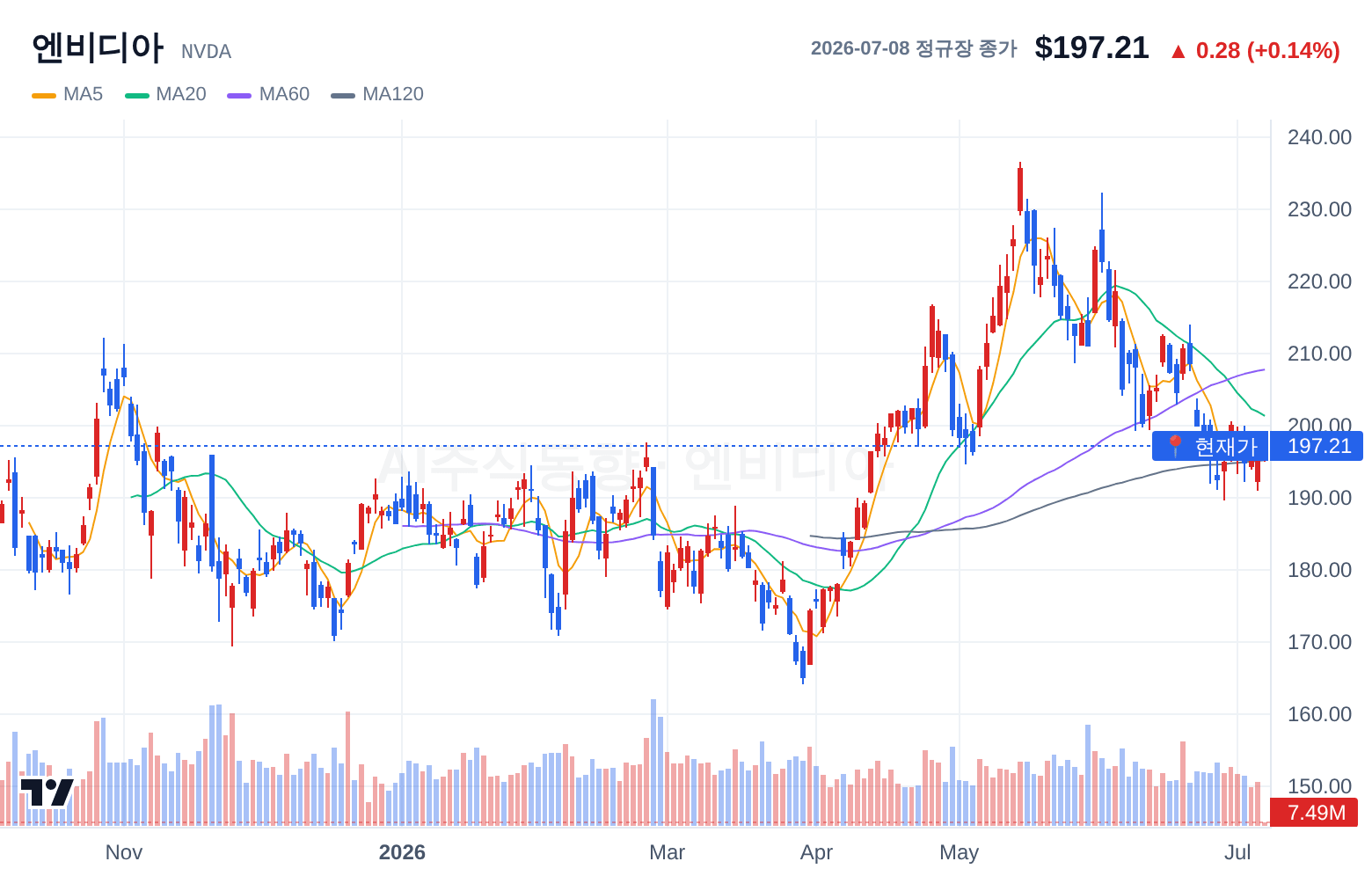 엔비디아 (NVDA) 일봉 차트