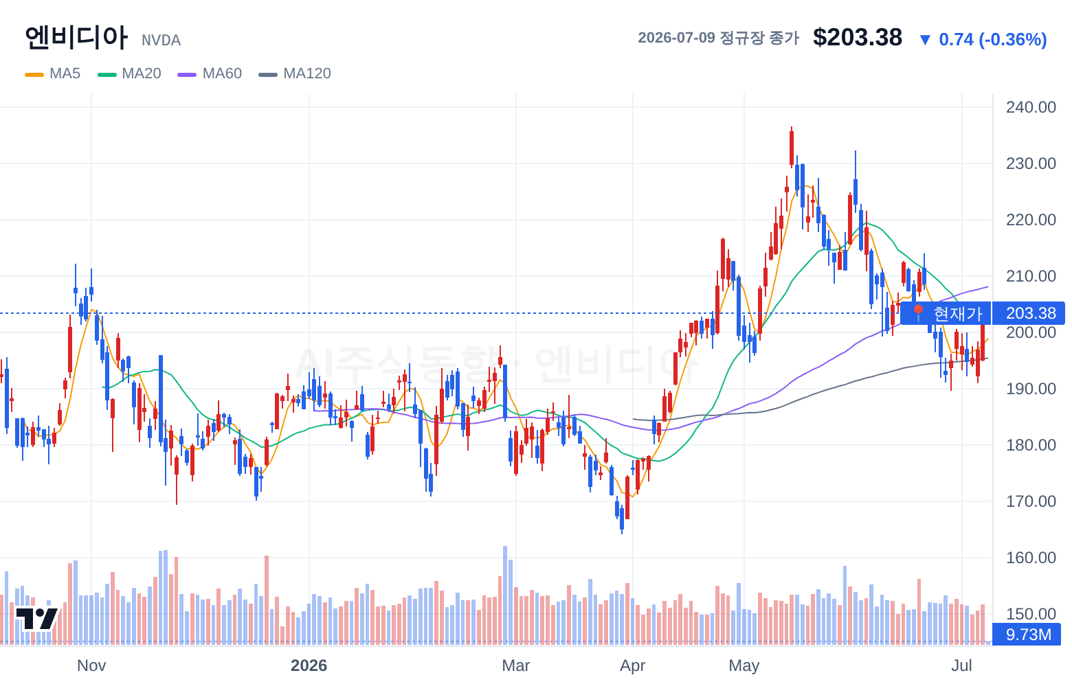 엔비디아 (NVDA) 일봉 차트