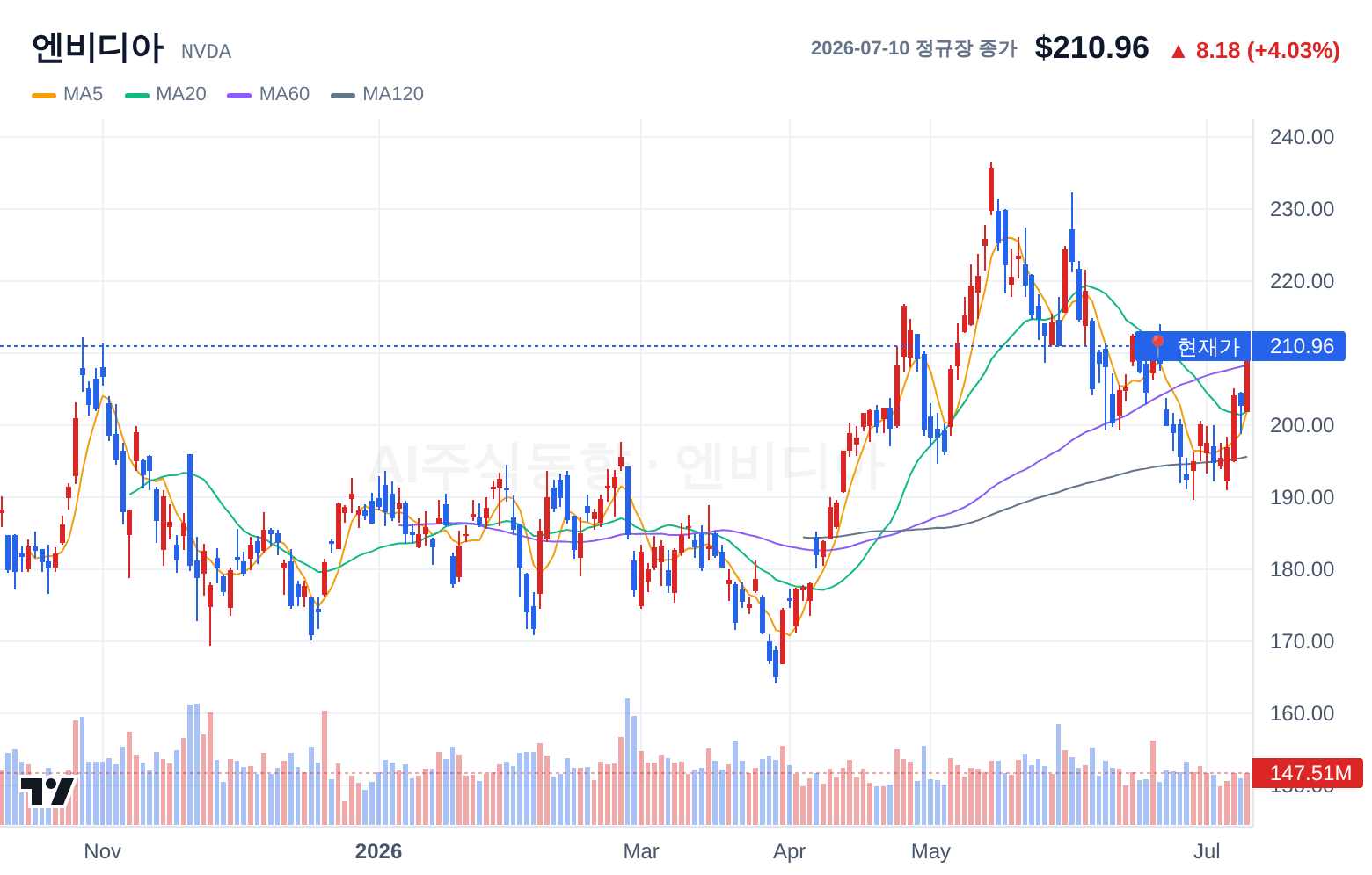 엔비디아 (NVDA) 일봉 차트