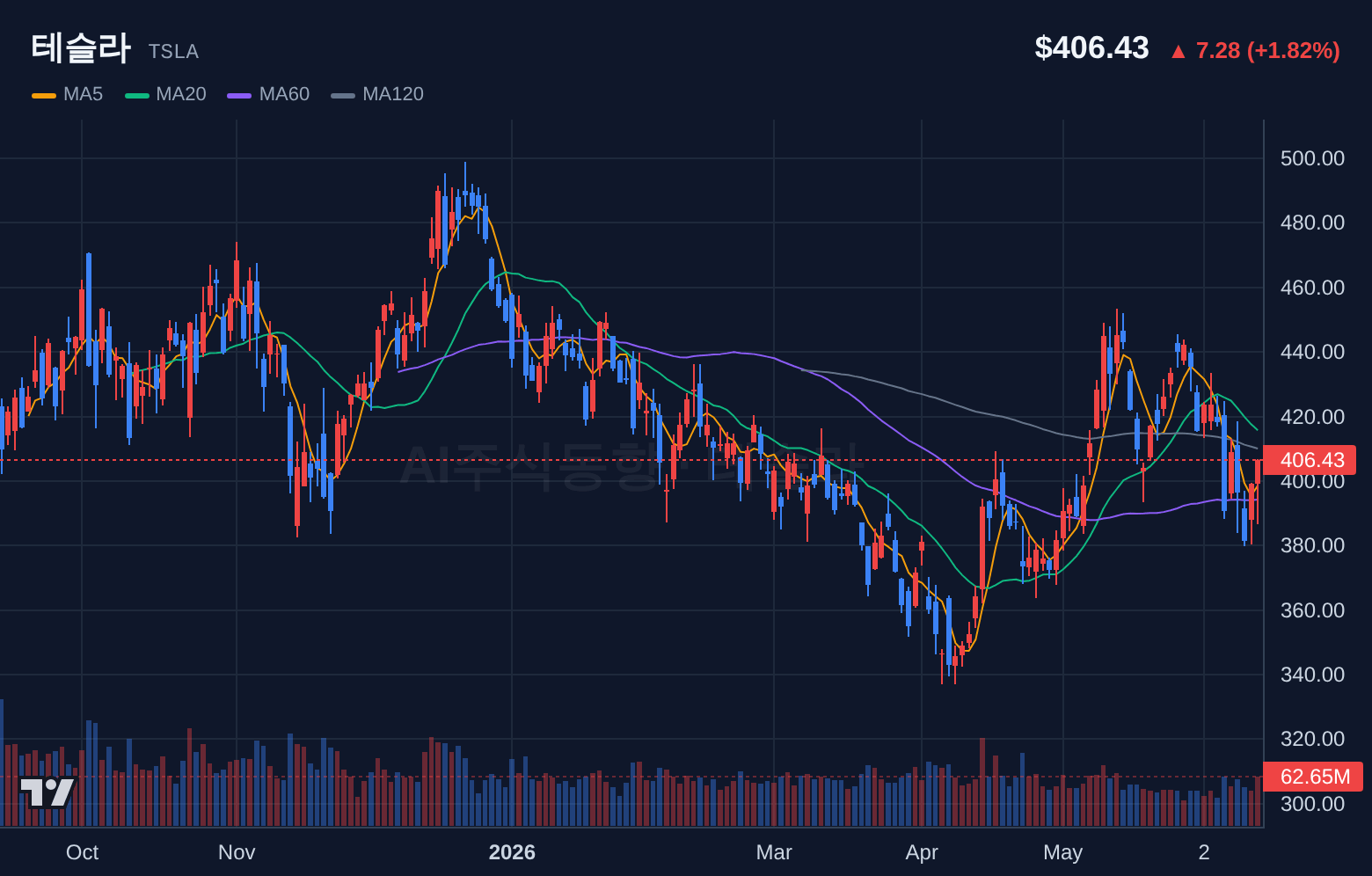 테슬라 (TSLA) 일봉 차트