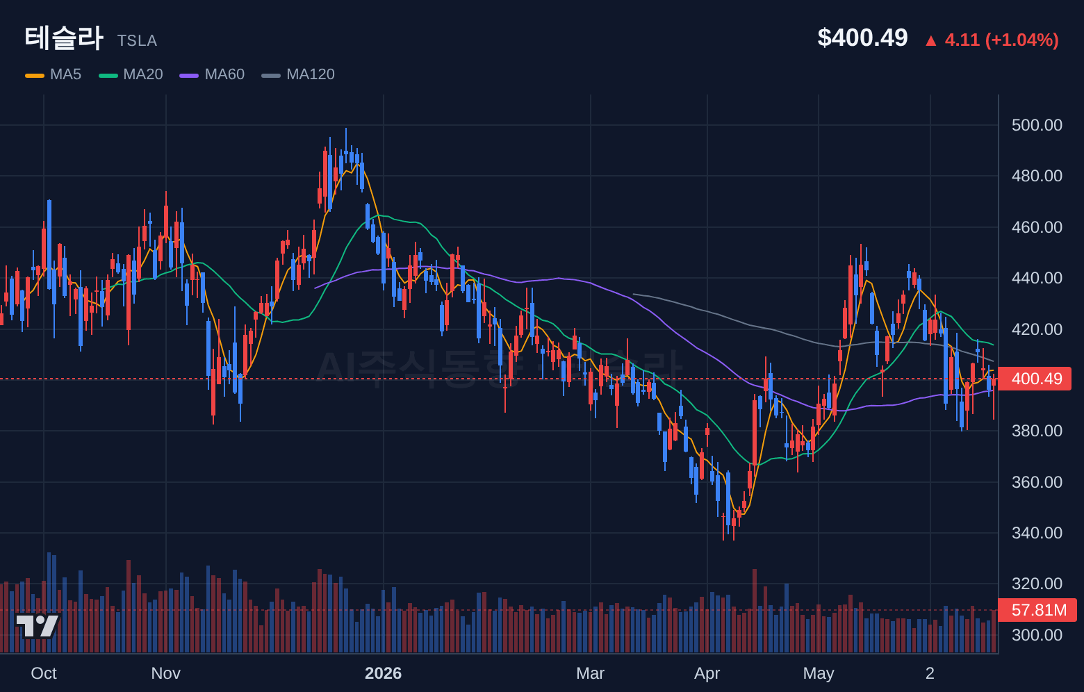 테슬라 (TSLA) 일봉 차트