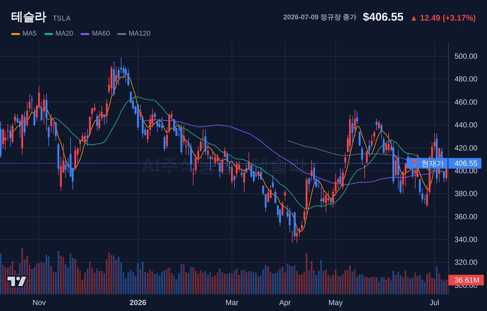 테슬라 (TSLA) 일봉 차트