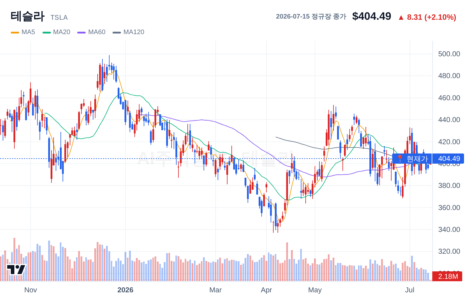 테슬라 (TSLA) 일봉 차트